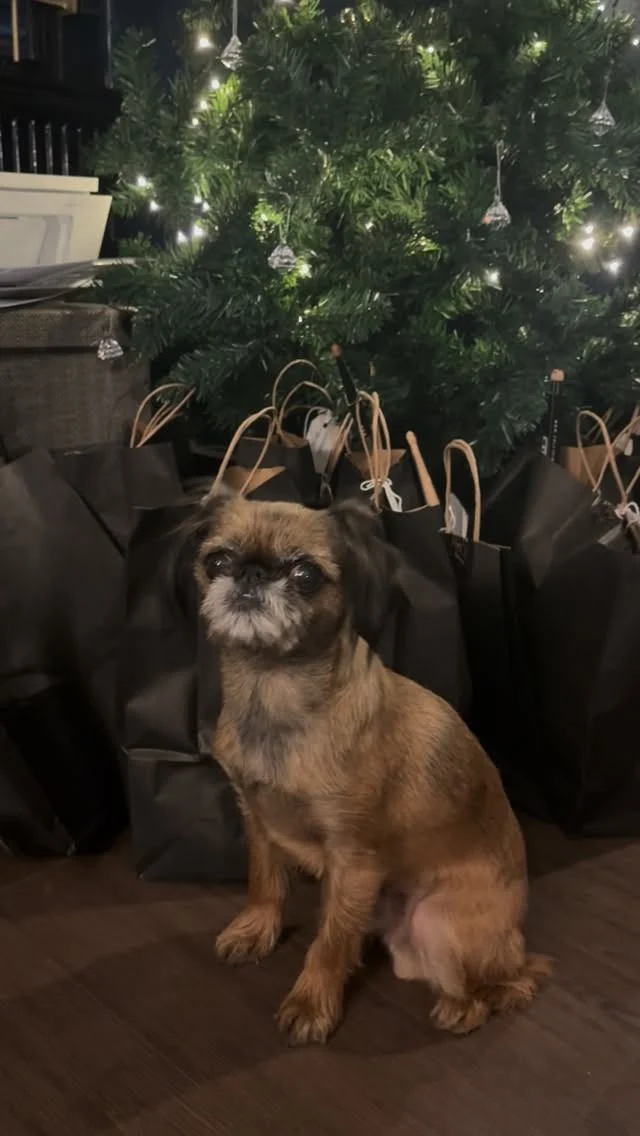 A little message from Loki, the Top Rock Christmas Elf 🎁

He’s here to let you know that he has dropped off your recent Christmas merchandise orders to our #stratforduponavon and #warwick studios and he will making the trip up to #leeds very soon to do the same for our northern friends ✨ 

Get in touch via kris@topoftherocktuition to make your last minute orders!